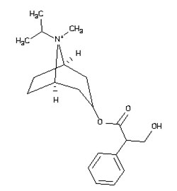 Figure 1a