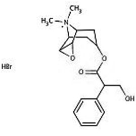allergy 1b
