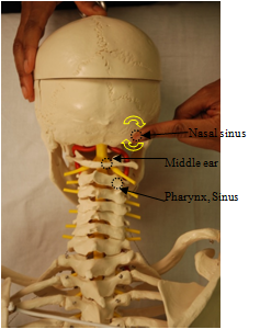 fig 16