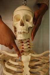 fig 13a