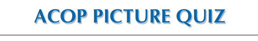 Subspecialty Review